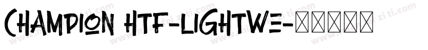 Champion HTF-Lightwe字体转换